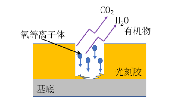 氧蜜桃人妻无码视频扫底胶去残胶