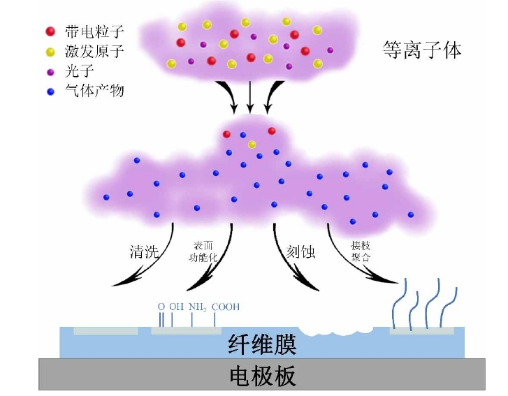 蜜桃人妻无码视频体改性聚丙烯纤维膜作用机制示意图